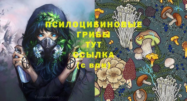 мет Армянск
