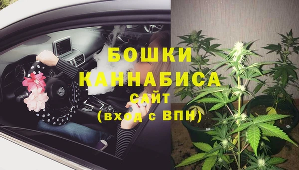 стафф Новозыбков