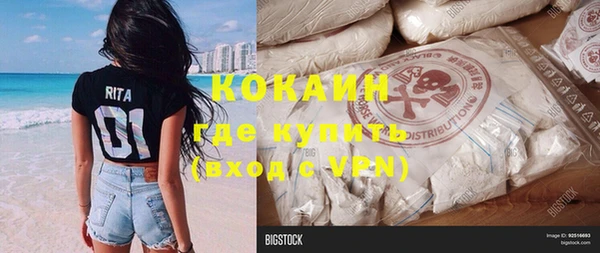 стаф Новодвинск