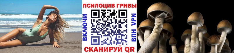 наркота  Чудово  Псилоцибиновые грибы ЛСД 