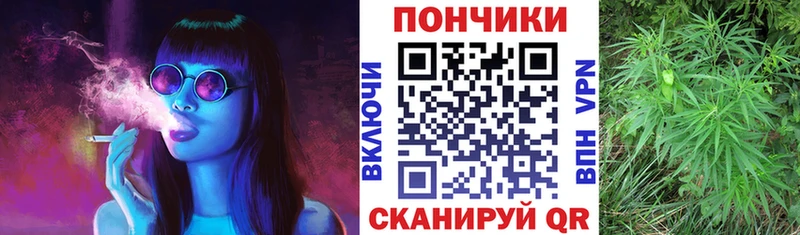 ОМГ ОМГ tor  Чудово  МАРИХУАНА SATIVA & INDICA  как найти закладки 